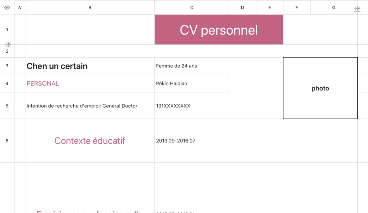 CV de recherche d'emploi pour Médecins